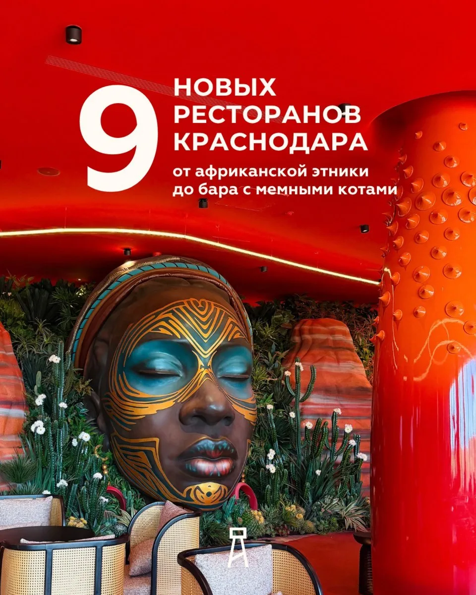 🍴Девять новых ресторанов Краснодара