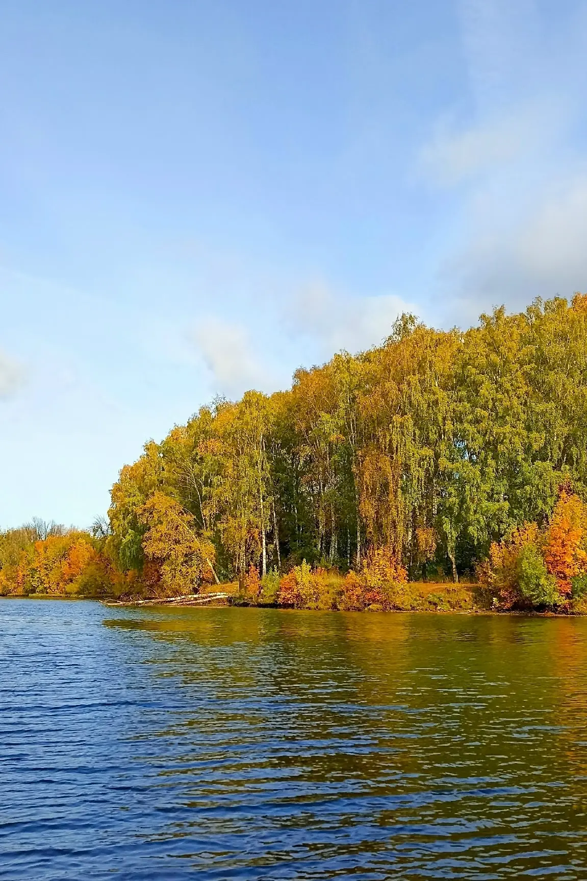 Октябрь по-своему прекрасен🧡🍁🍁🍁
