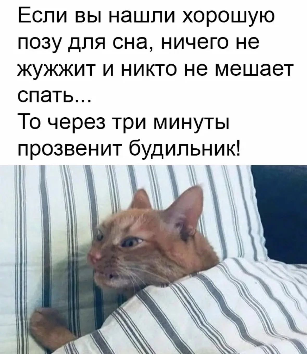 Доброе утро