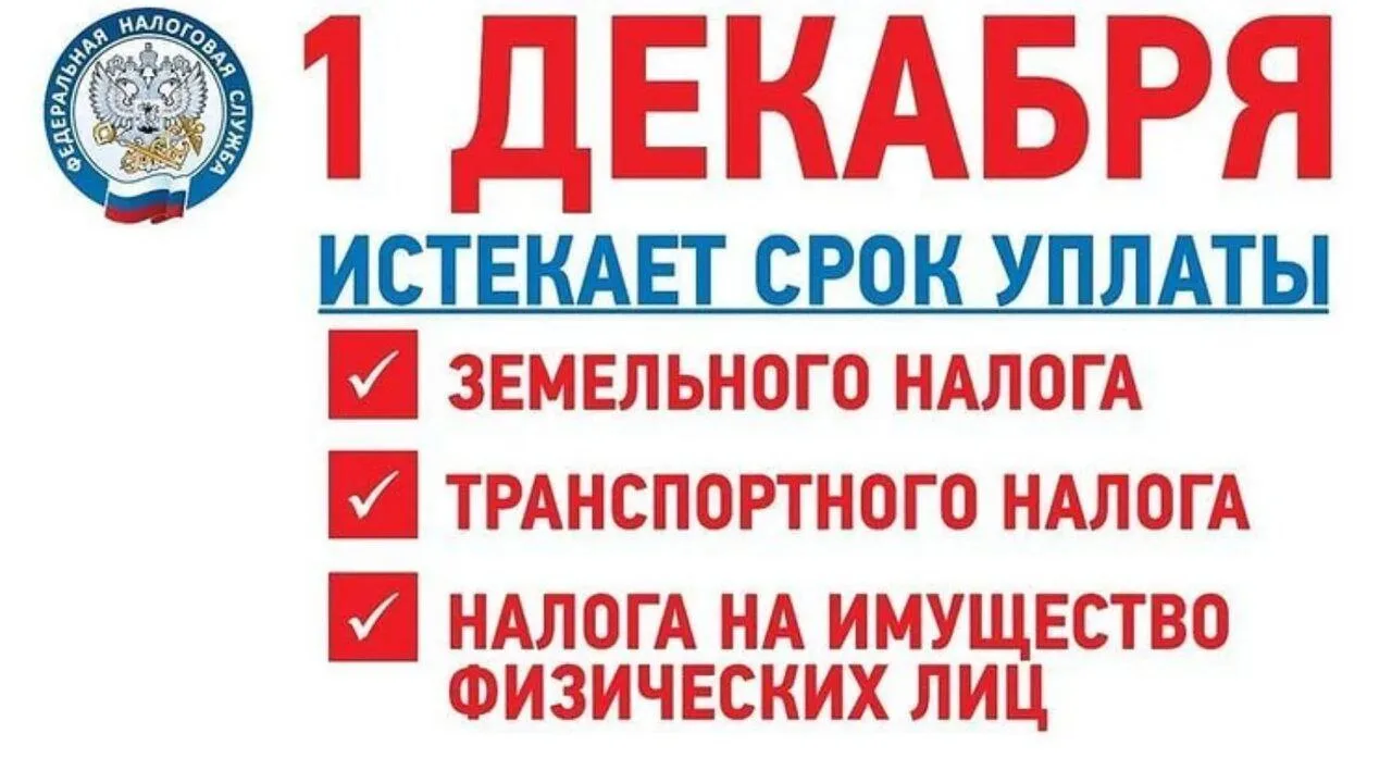 Пришла пора оплачивать налоги!