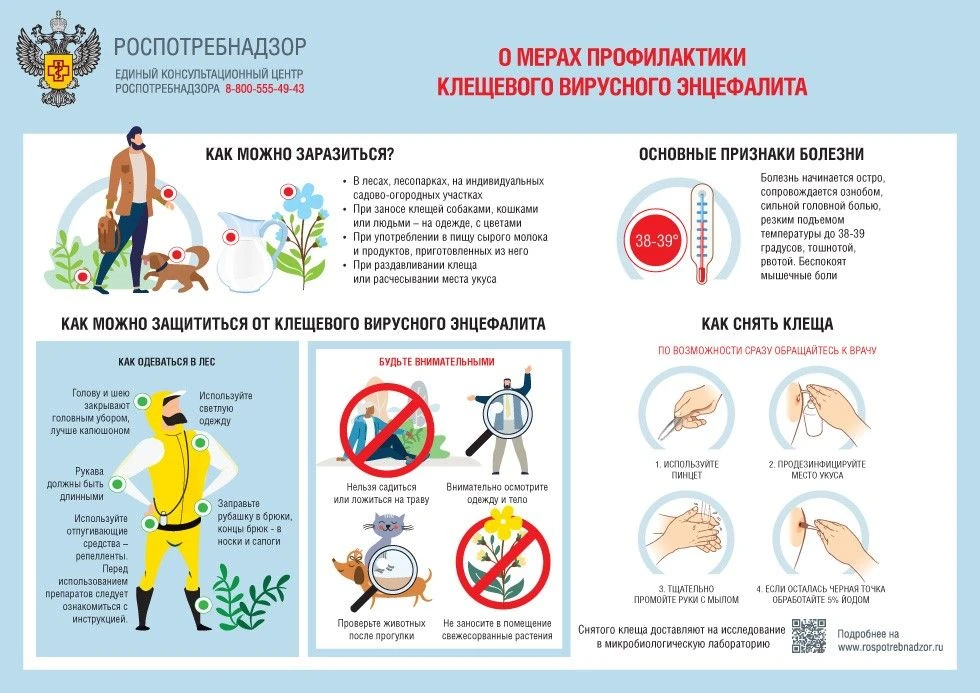 Об эпидемиологической ситуации по инфекциям, передающимся с укусами клещей на 19.08.202...