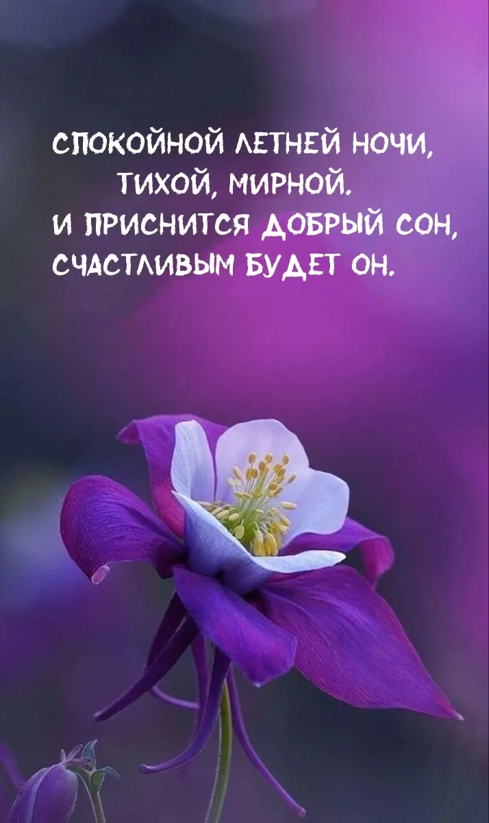 #ночь
Картинки на каждый день