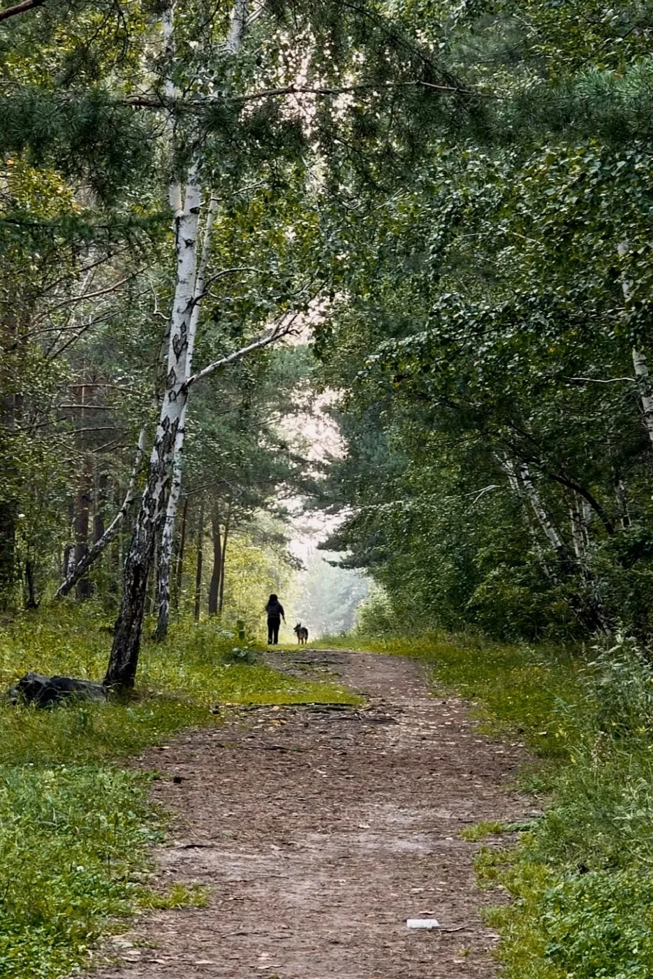🛤️ И в Энергетике есть экотропа