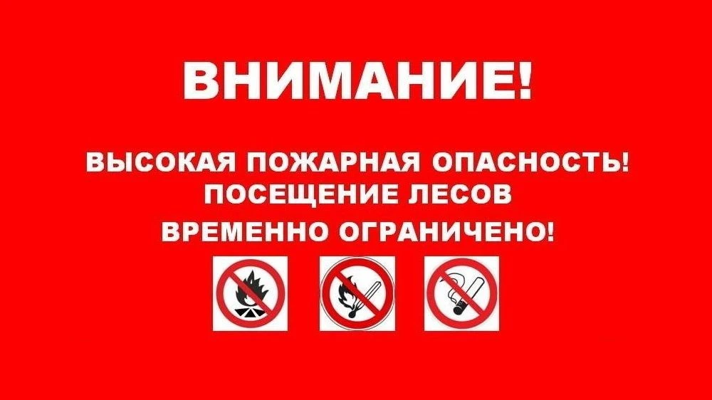 ‼ВНИМАНИЕ: ОГРАНИЧЕНИЕ ПРЕБЫВАНИЯ В ЛЕСАХ‼В связи с установленным на территории земель лесного фонда