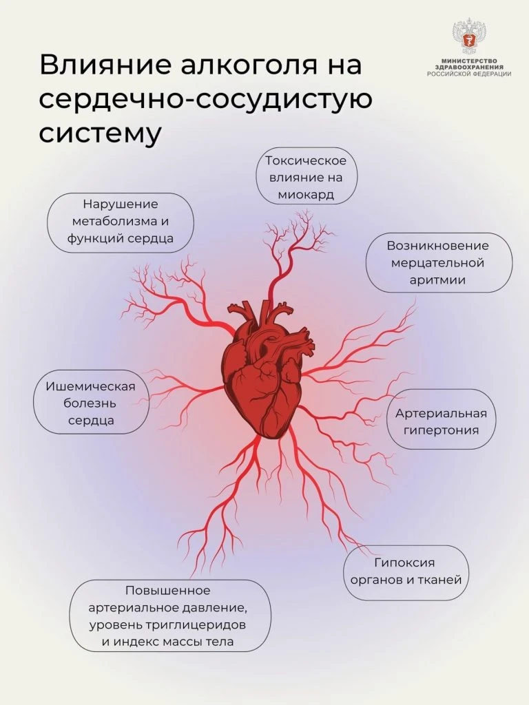 🫀Алкоголь и сердце: аритмия, гипертония и «синдром праздничного сердца»