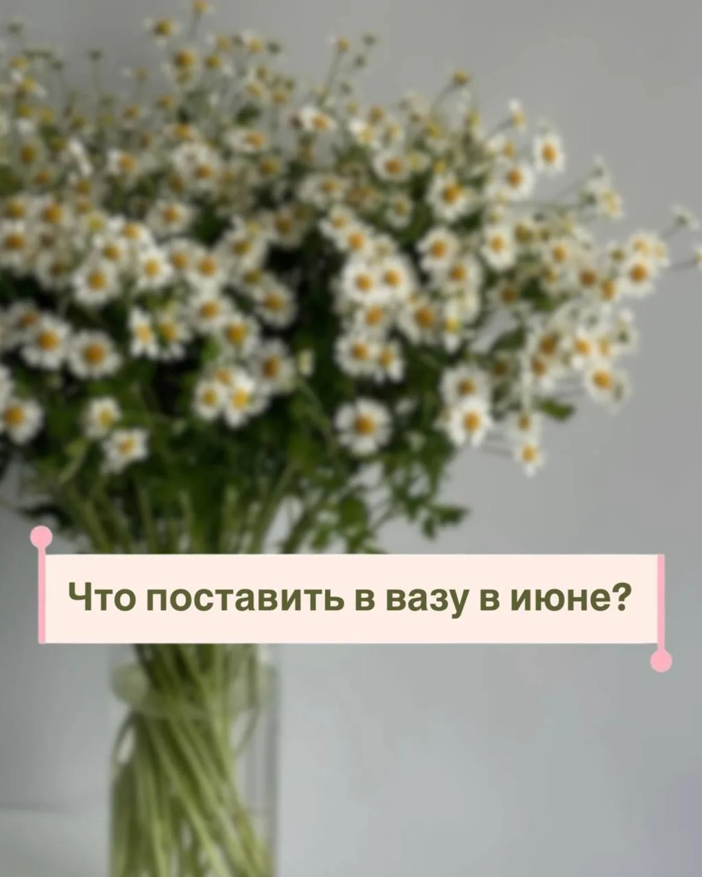 🌺 Что поставить в вазу в июне?