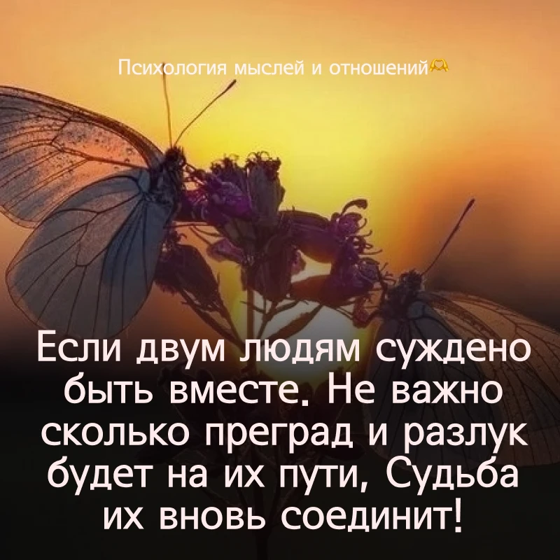 Изображение 1 к публикации «Психология мыслей и отношений🫶»