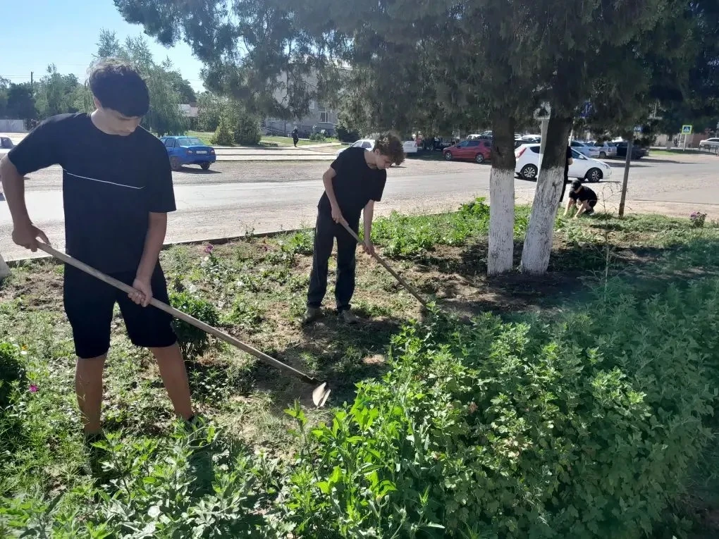 Трудоустройство несовершеннолетних.
Учащиеся МБОУ СОШ 19, в рамках трудоустройства в летний период, 