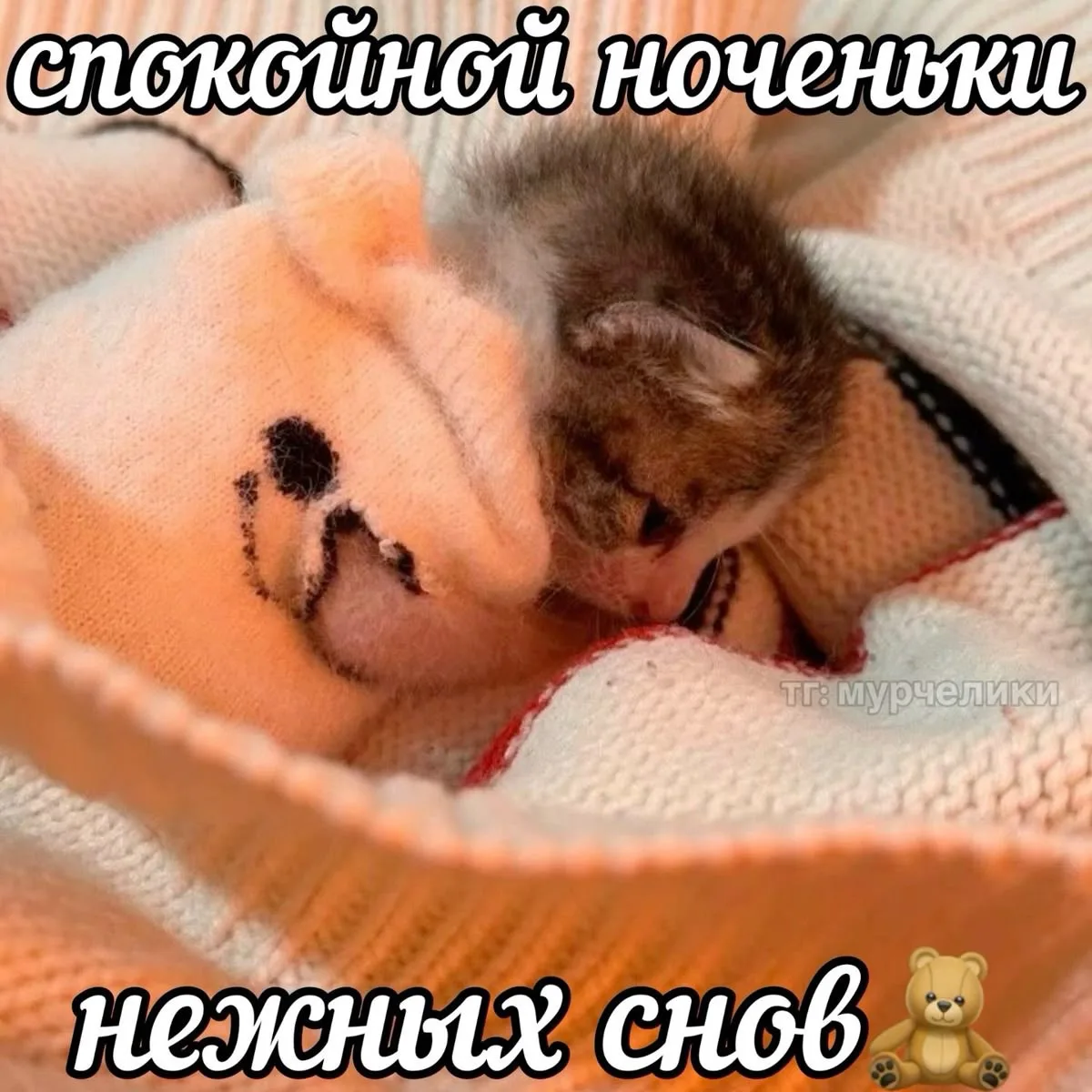 🌸 Всем спокойной ночи