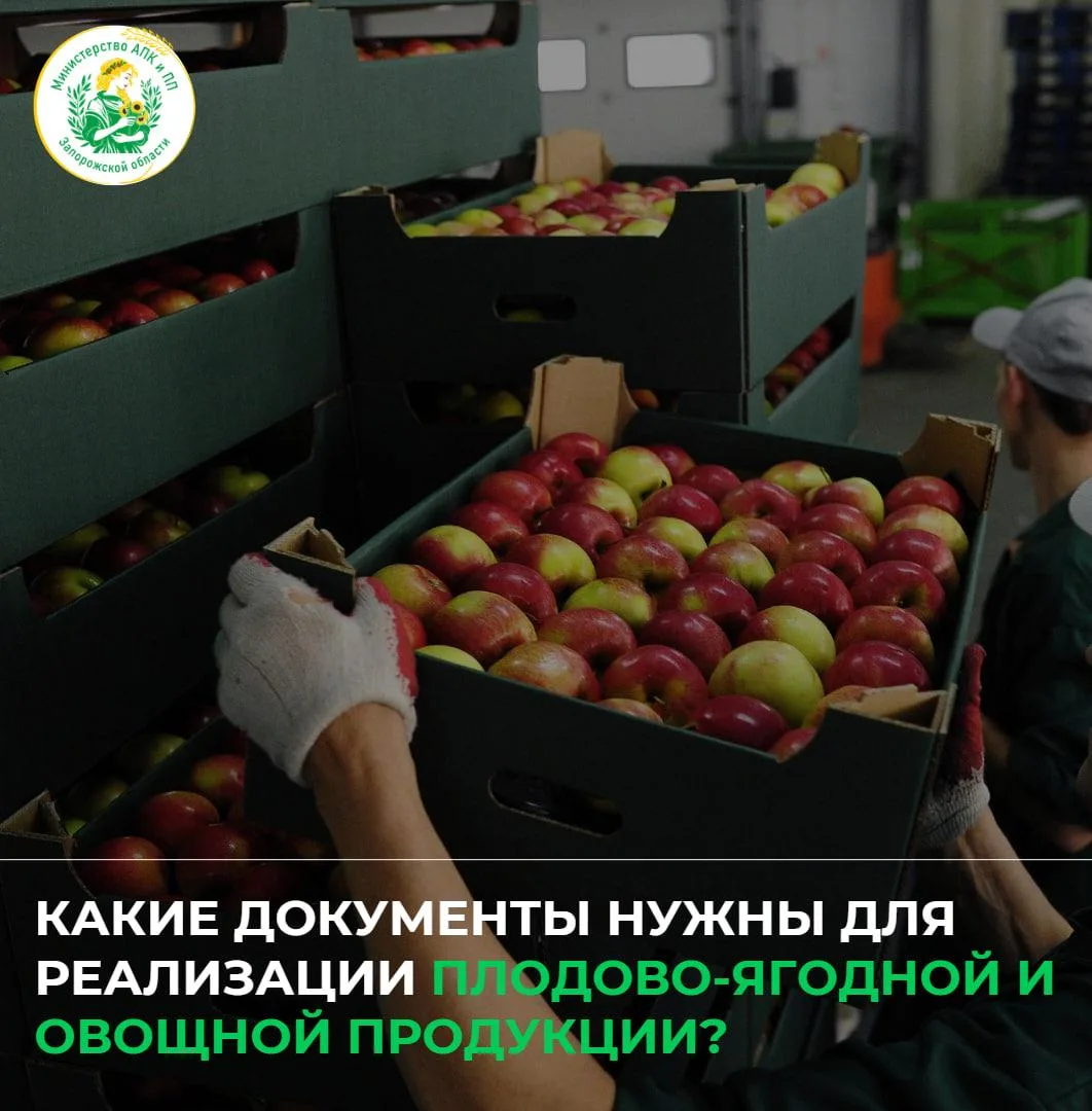 Какие документы нужны для реализации плодово-ягодной и овощной продукции?  Рассказываем, какие докум