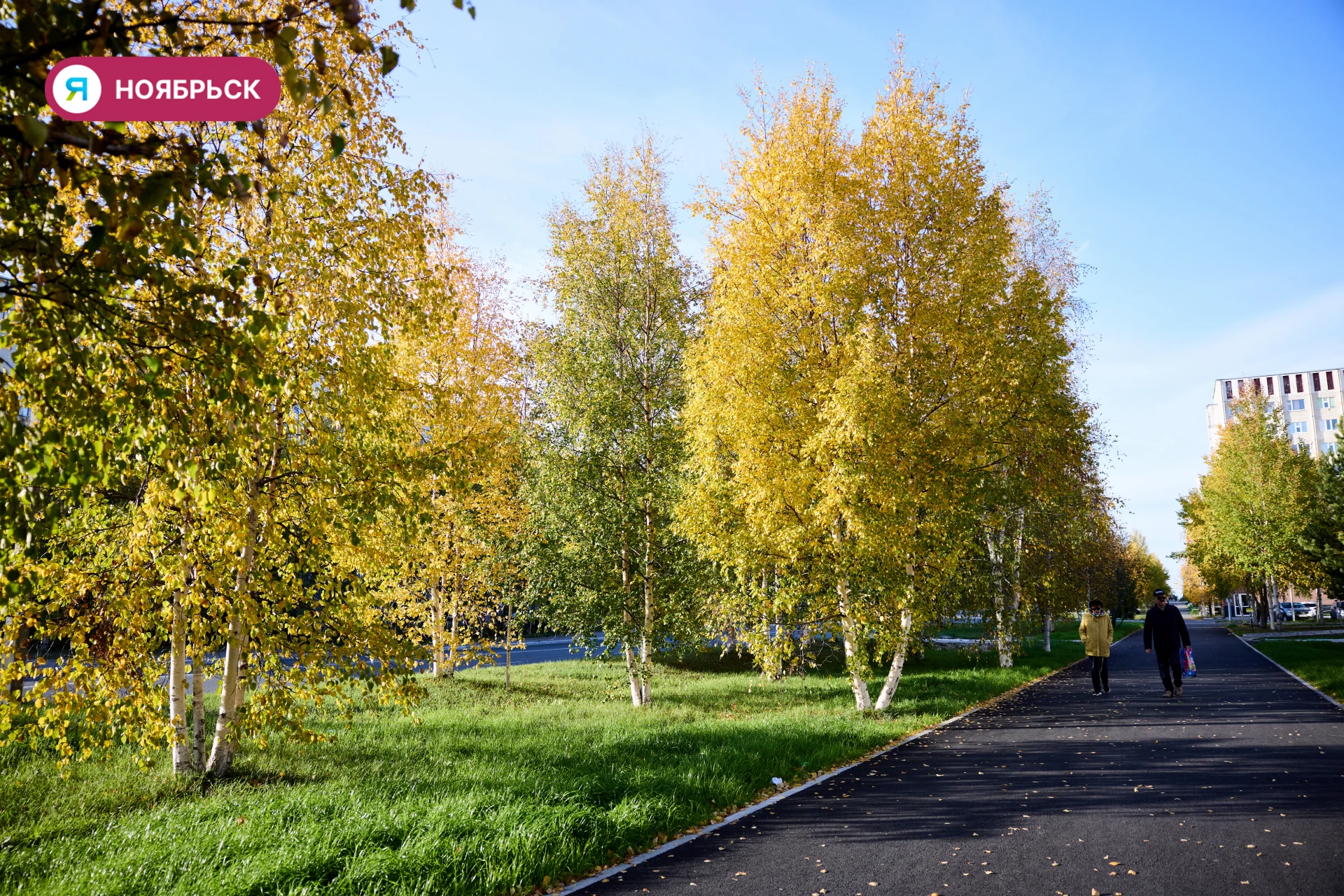 До свидания, золотая осень 🍂