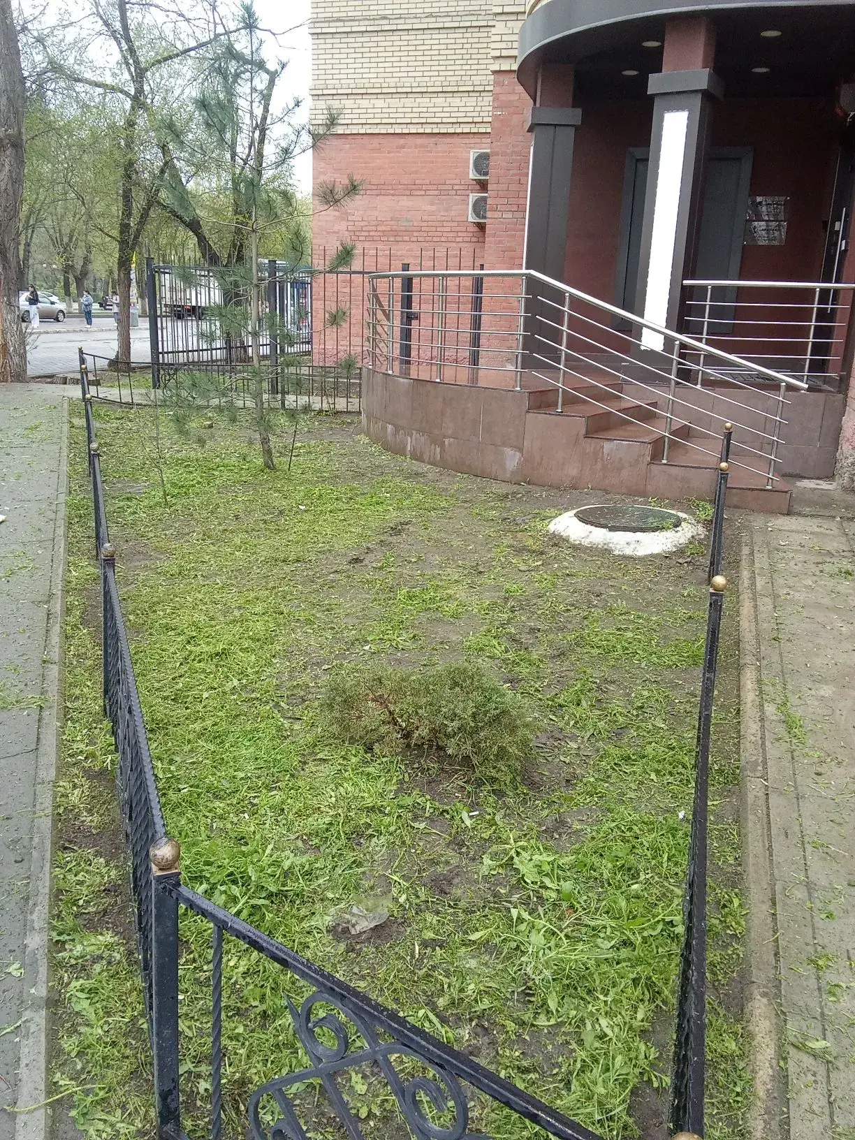 К новости «🌿 Свежий газон и порядок во дворе!»