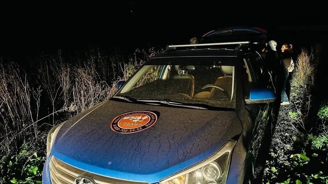 Под Тольятти искали пожилого мужчину, потерявшегося в лесу