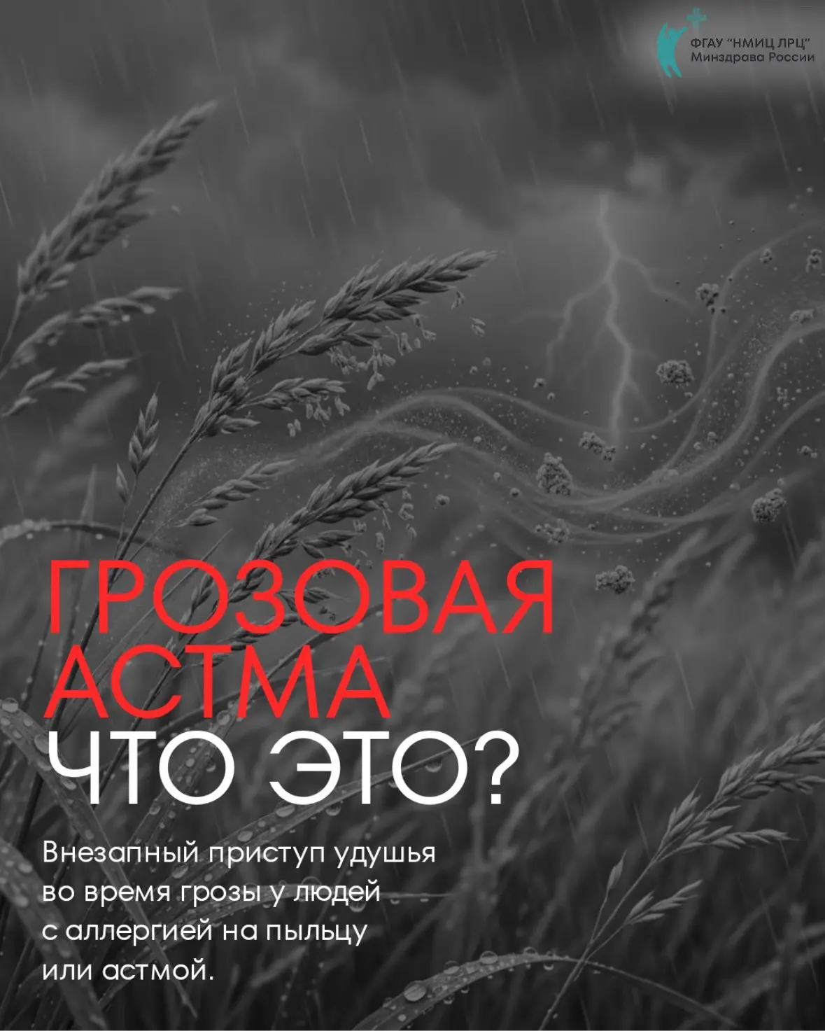 Почему пыльца становится бомбой замедленного действия?