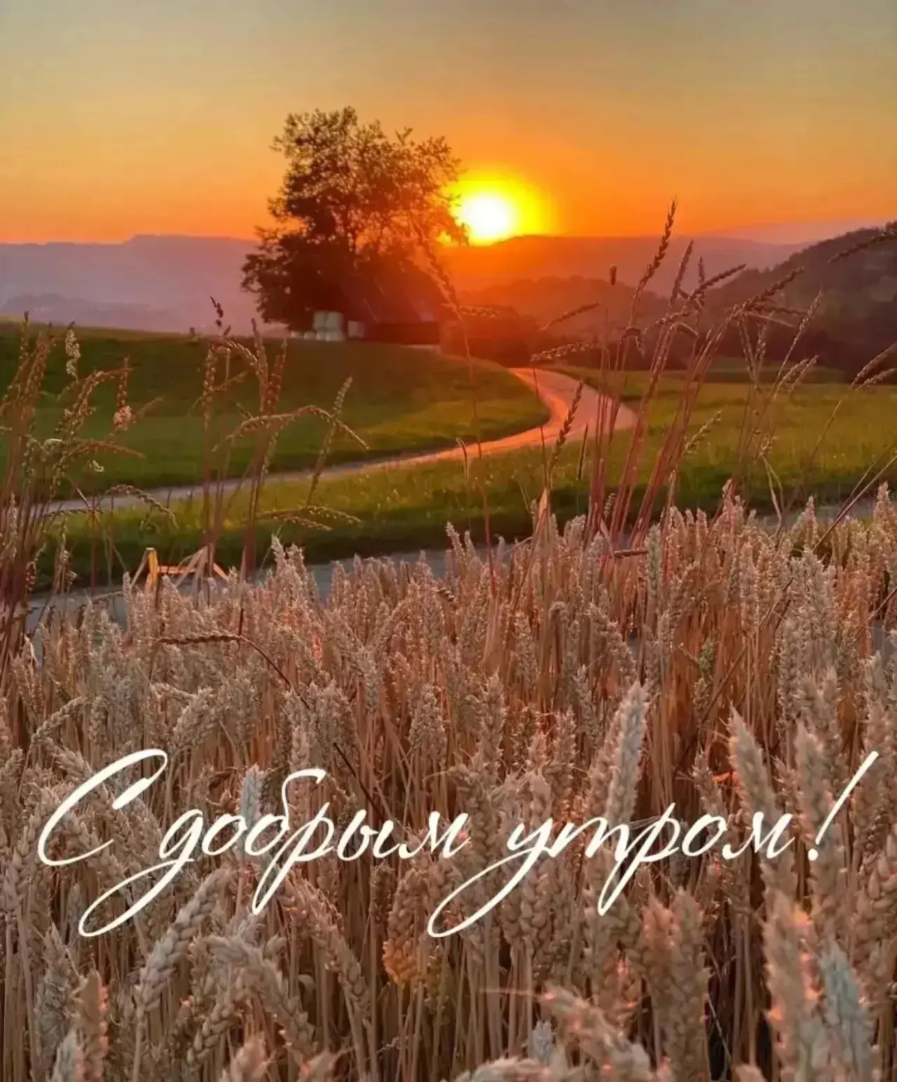 ⚡️Народные приметы на 14 июня