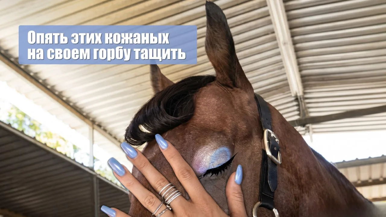 ⛽️ ГдеБензБля?

Водители, вы уже, наверное, задолбались кататься по городу в поисках заправки🥴

💡 