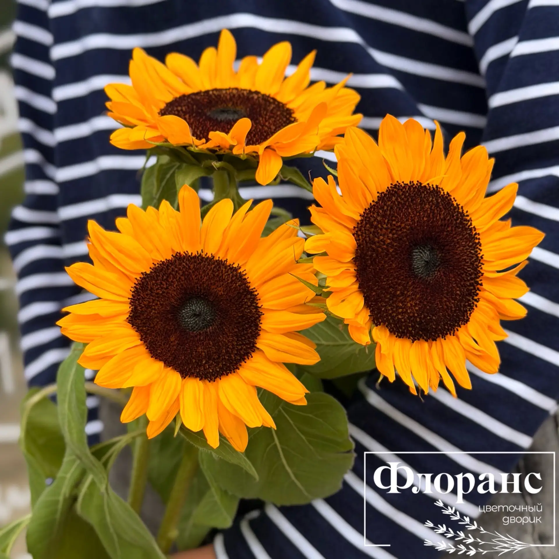Одного взгляда на подсолнух достаточно, чтобы поднять настроение 🌻
