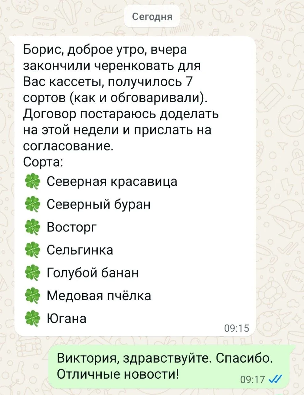 🌿Готовлю около 500 саженцев к сентябрю.