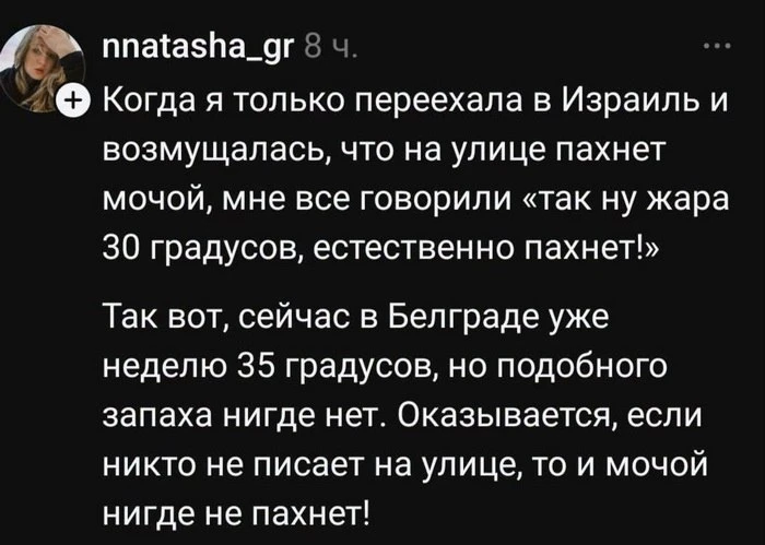 Релоканты почуяли в Израиле настоящий запах "свободы и демократии"