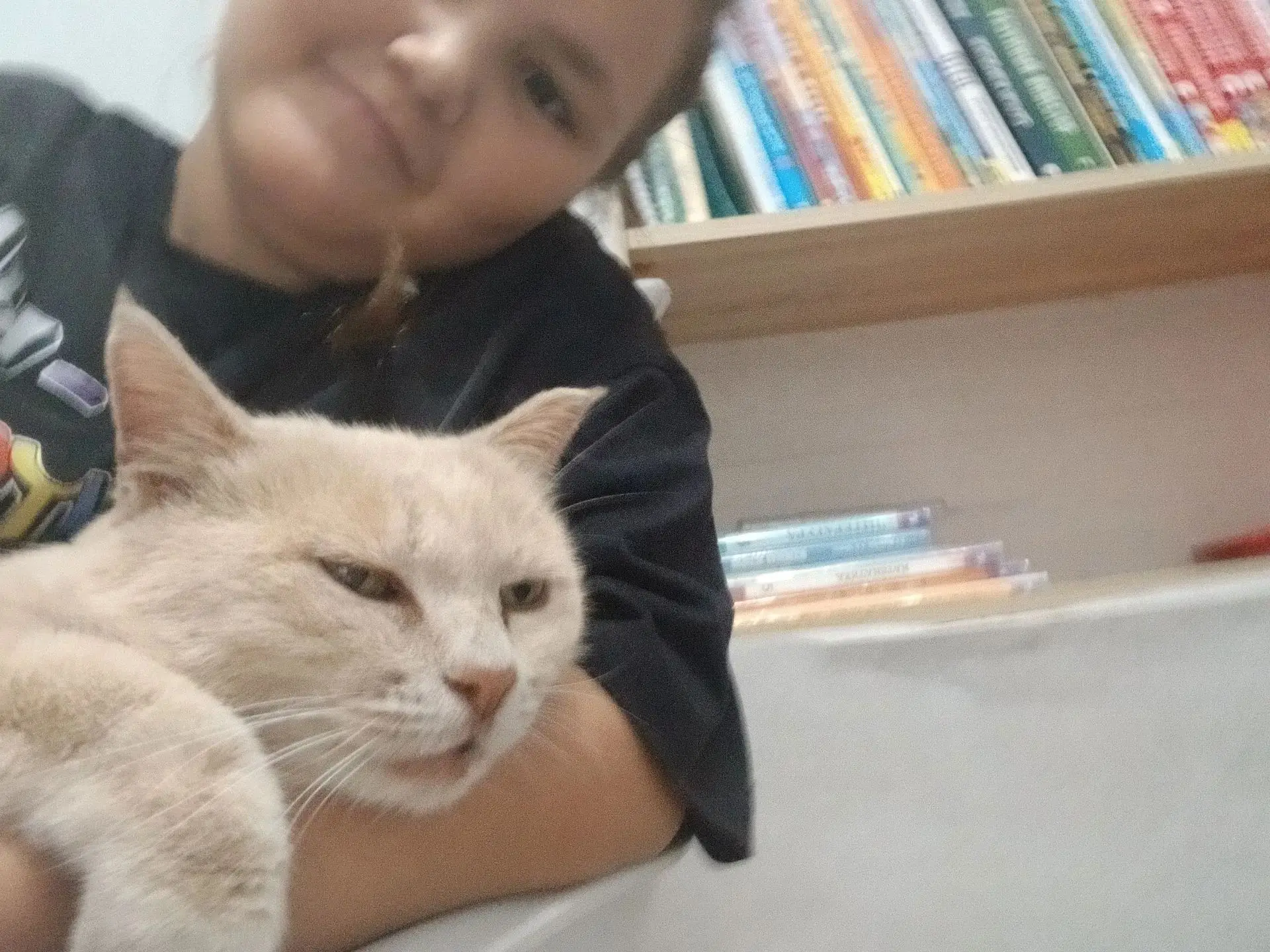 Вот она, наша главная кайфушница 🐱