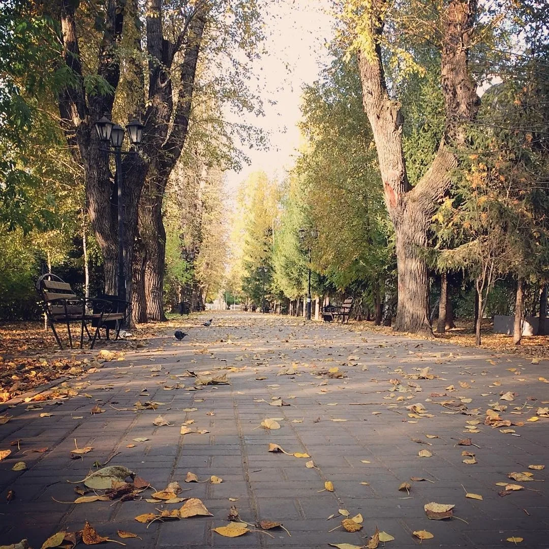 Пока еще желтый Томск 🍂