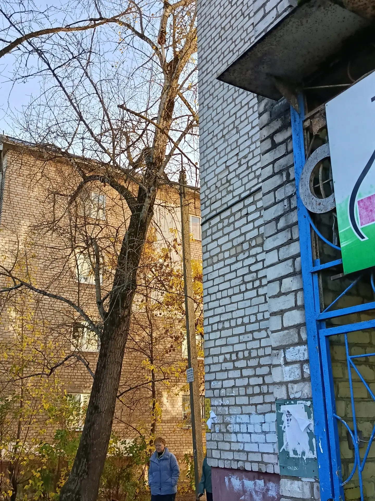 Исаченко А.М.