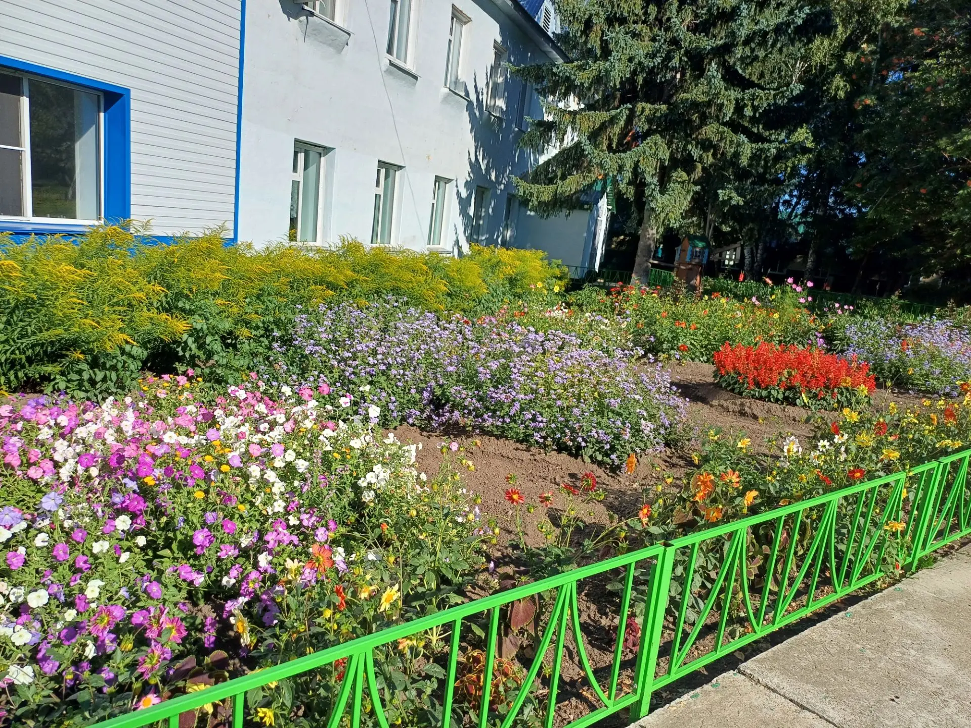 На 🌳деревьях появляются первые 🍂желтые листья, с каждым днем осень становится ближе. ...