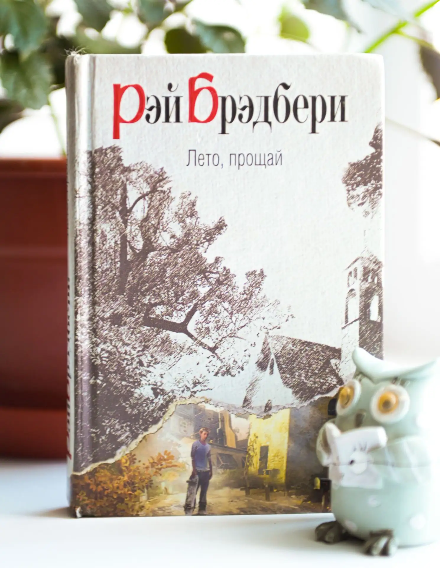 🦉 Доброго совиного утра!