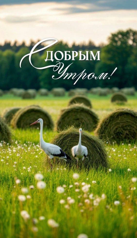 #ДоброеУтро ☀️