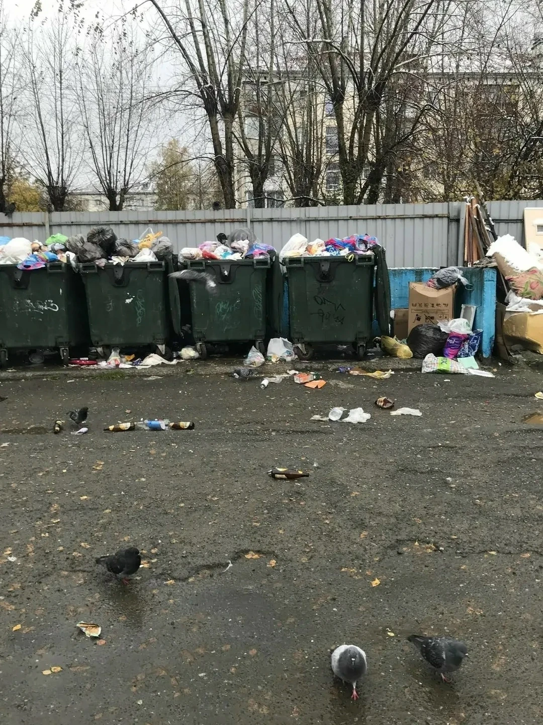 На контейнерных площадках Асбеста все стабильно. Переполненные мусорные баки, похоже, б...