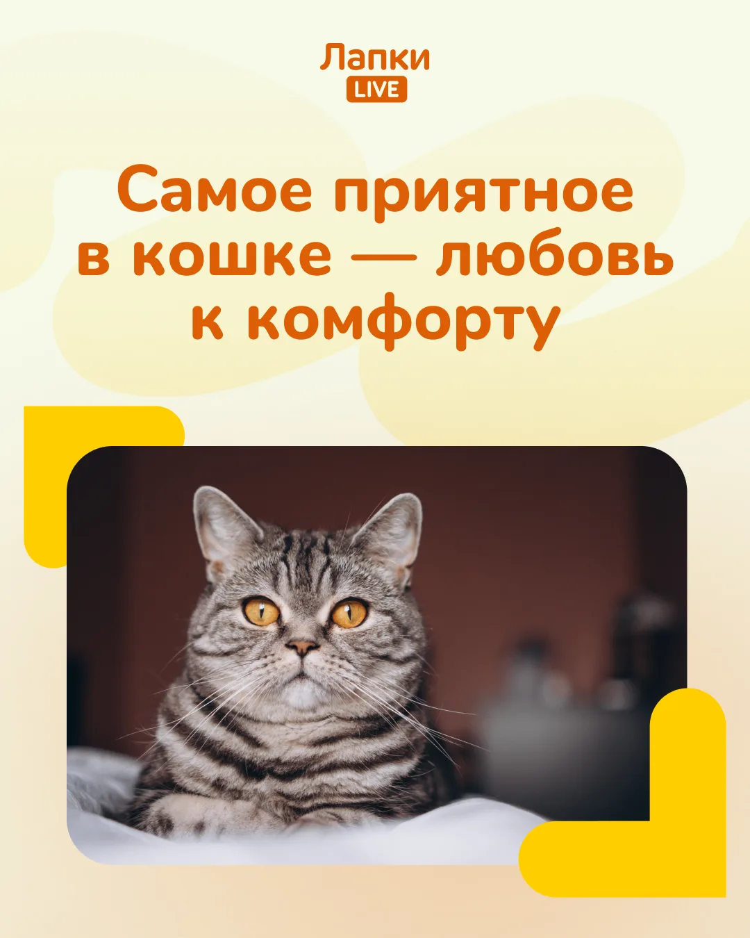 📌 Цитата британского писателя Камптона Маккензи.