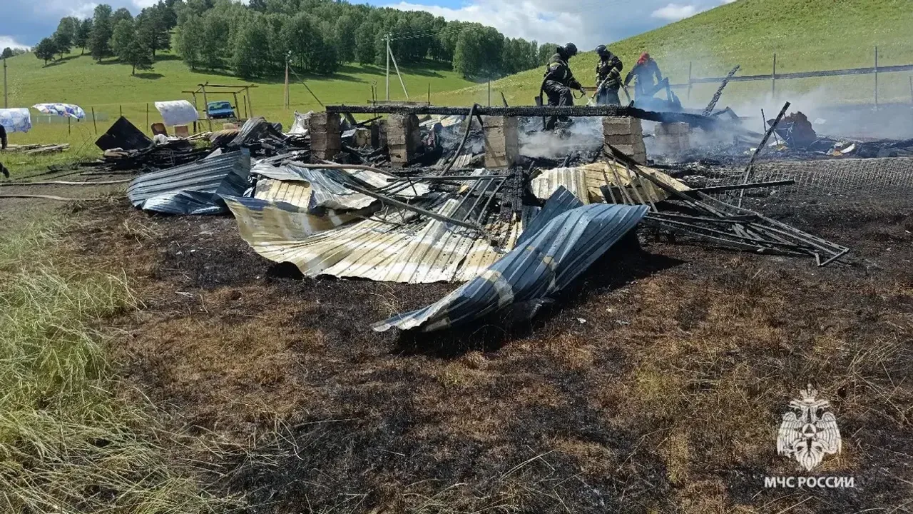 В Башкирии сообщили причину пожара с гибелью троих детей 6, 8 и 10 лет

На прошлой неделе произошел 