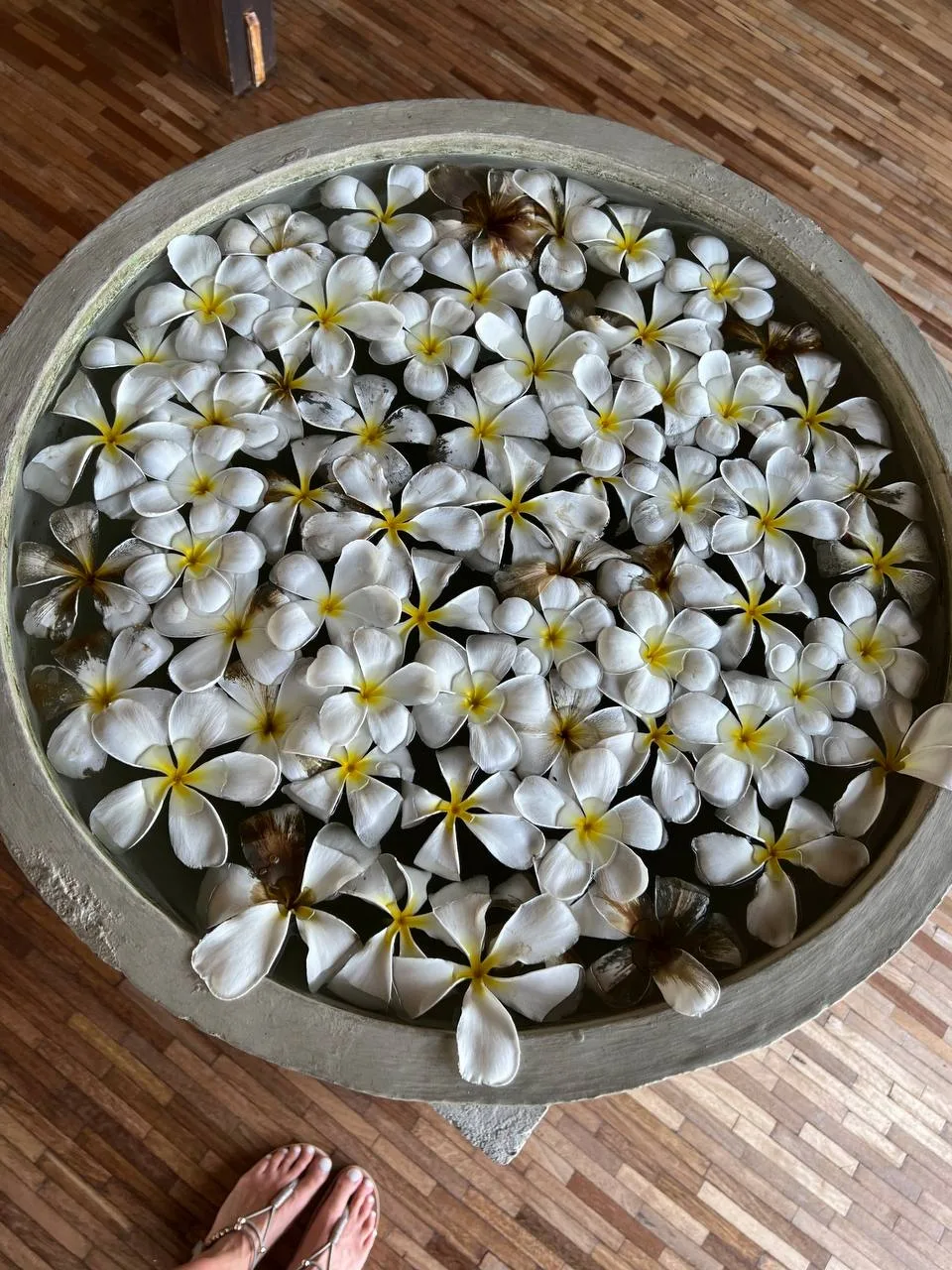Вьетнам 🇻🇳 Школьные каникулы