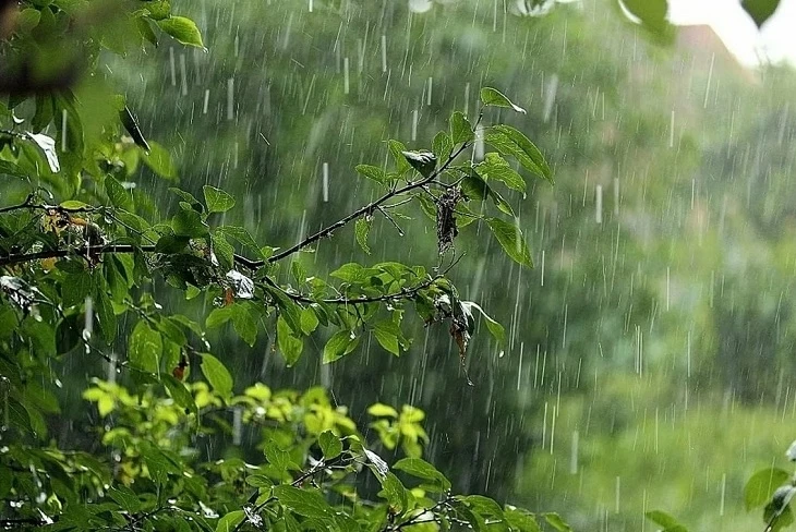 С добрым утром!  🌿 Погода на сегодня, 14 мая.  🌡 Температура в Мостовском районе от +9 до +23.  🌴 Ве