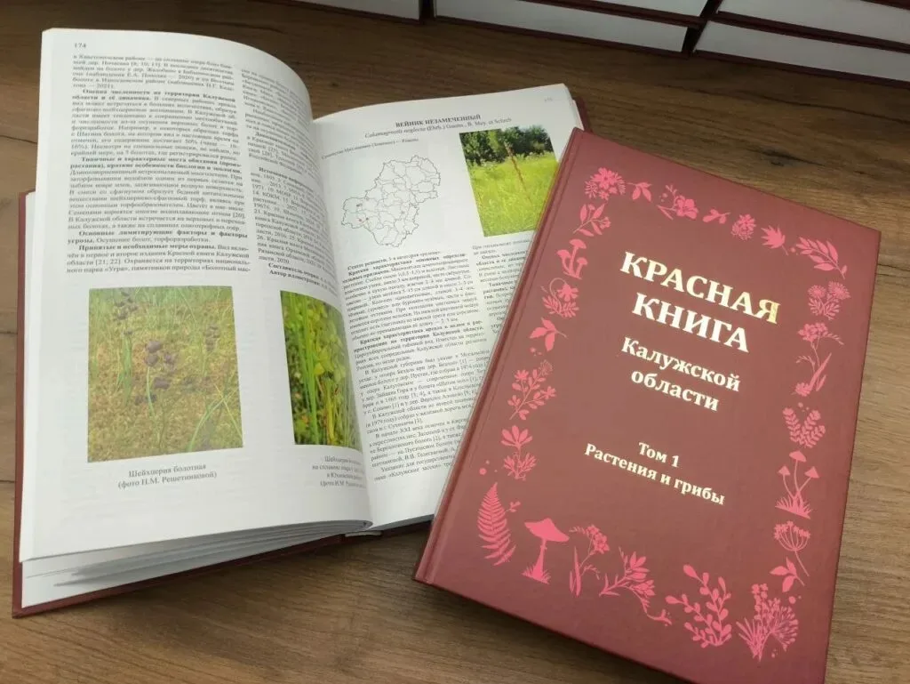 🔻В Калужской области готовят третье издание Красной книги. В обновлённый список войдут 29 видов бес