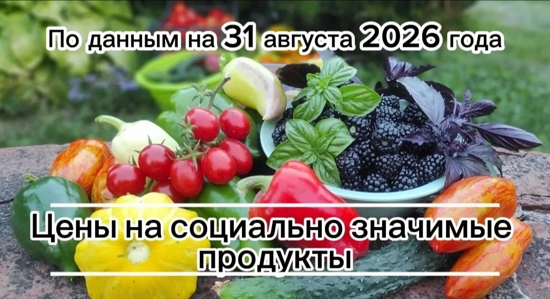 Где дешевле всего купить необходимые продукты в посёлке Борисовка.