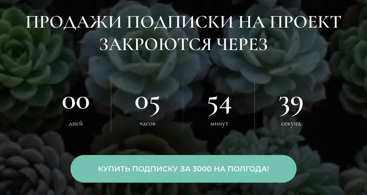🤔 Все успели? через 5 часов завершаю набор в мою Библиотеку –