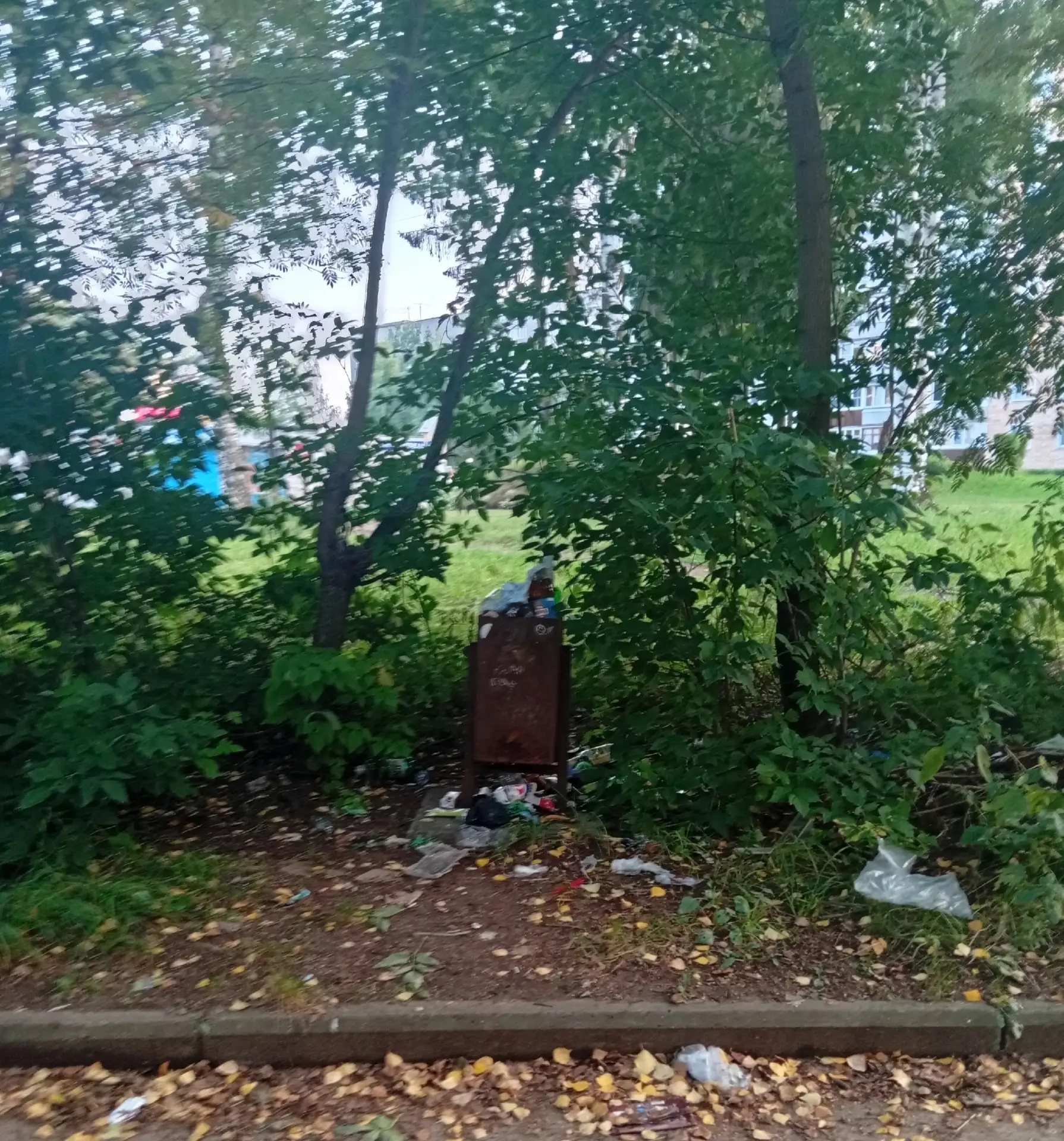 Проходя по тротуару на Сосновой к "Пятёрочке",видишь вот такую картину: Забитая урна и ...