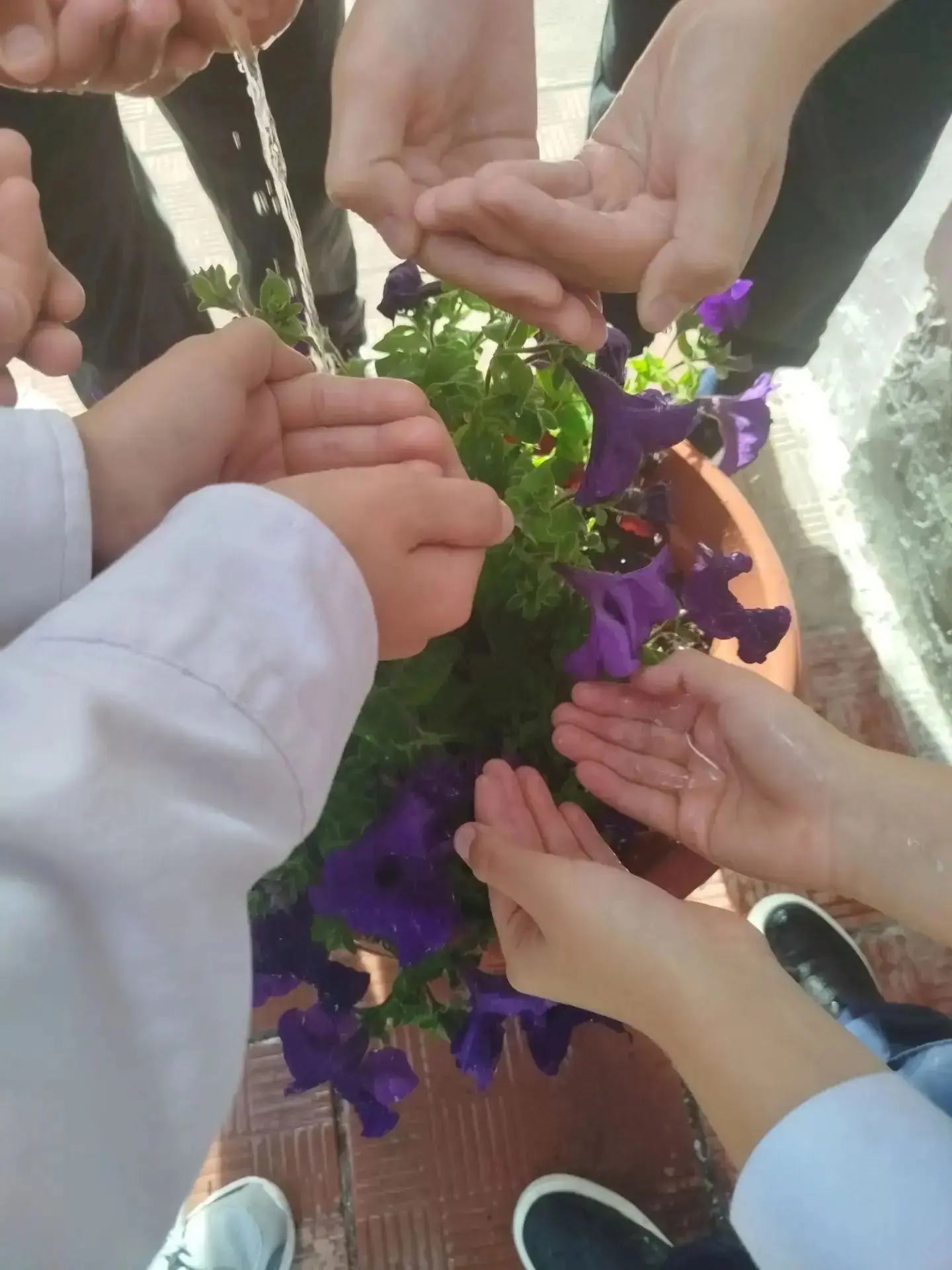 Всероссийская акция «Капля жизни»💧