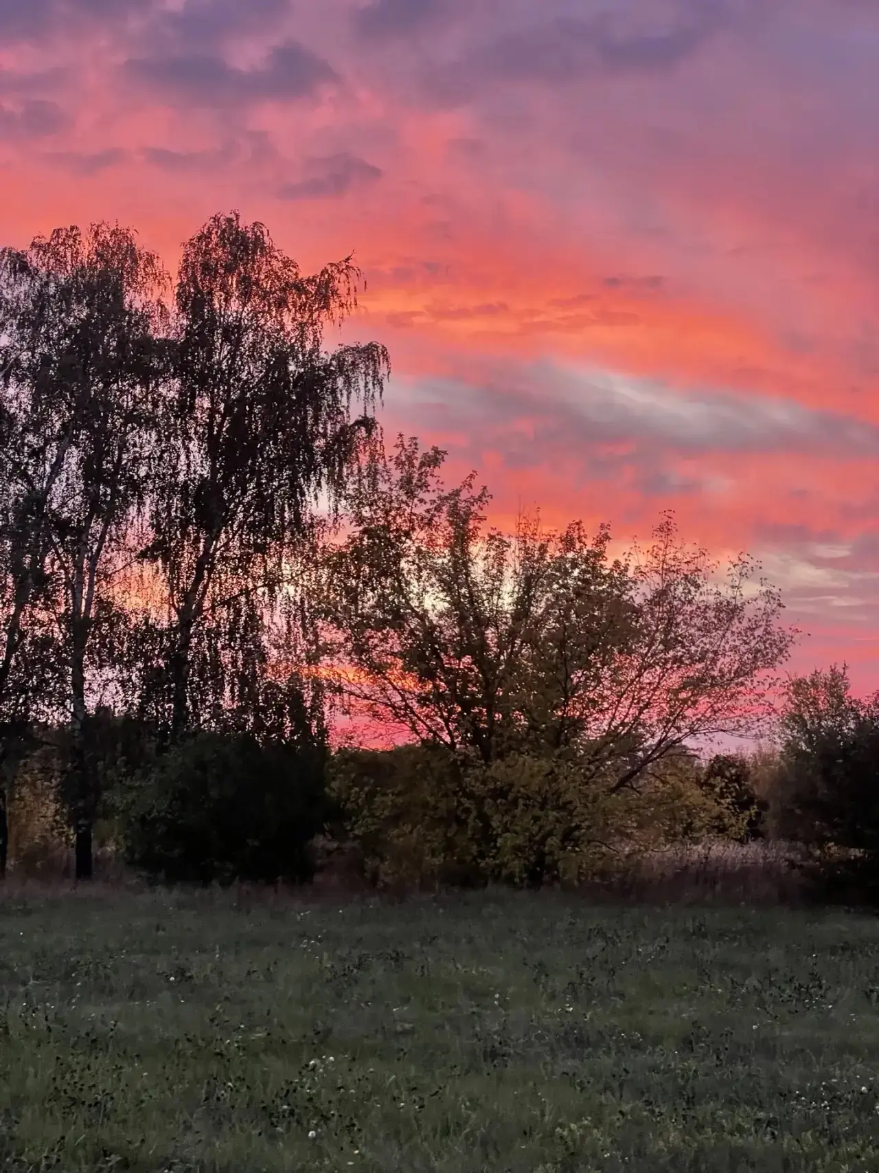 А вы видели сегодняшний закат?