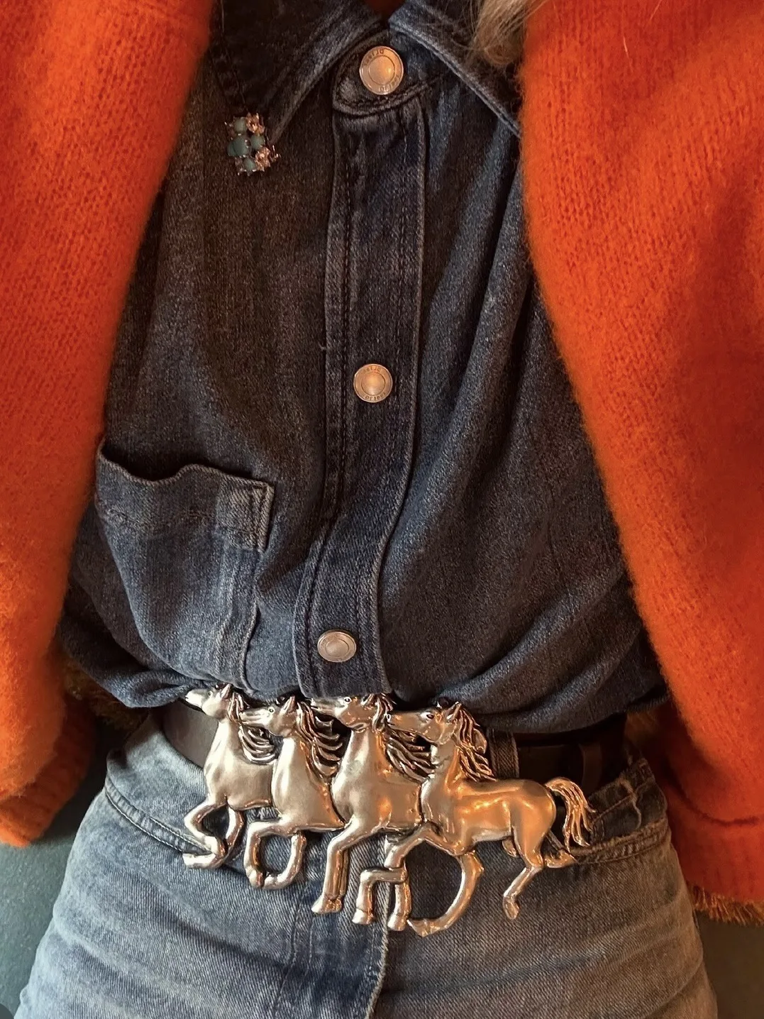 Пока все хотят и покупают ремни от Dior, я хочу этот от Chloe 🐎