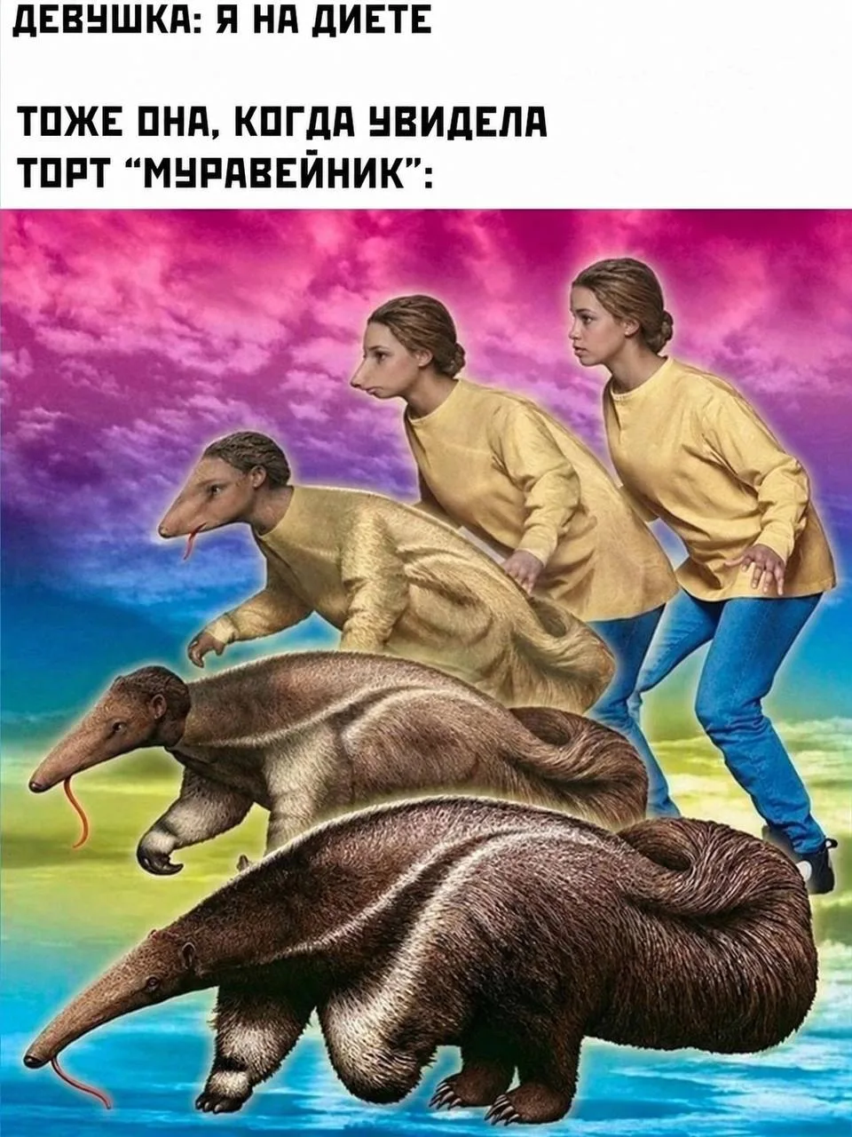 База