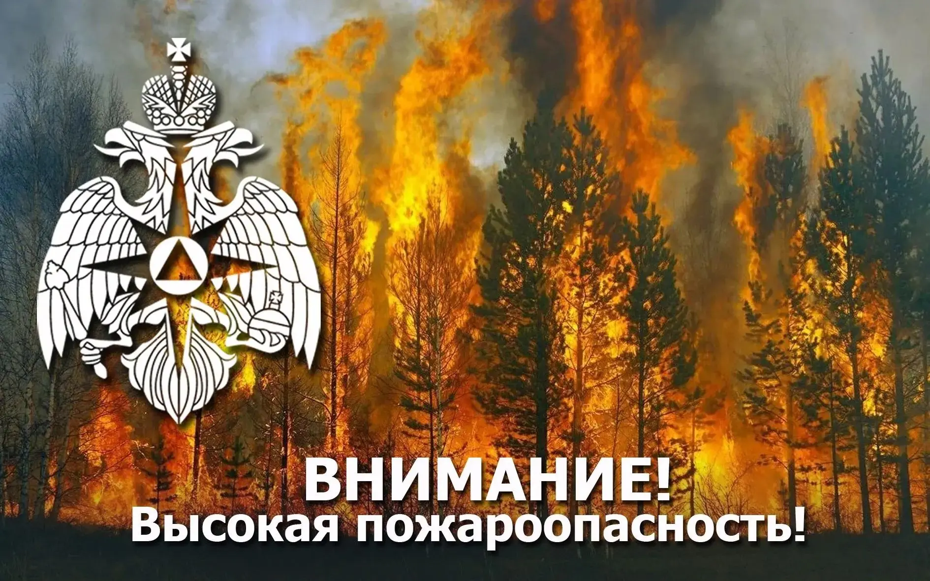 ❗Внимание! Оперативное предупреждение!