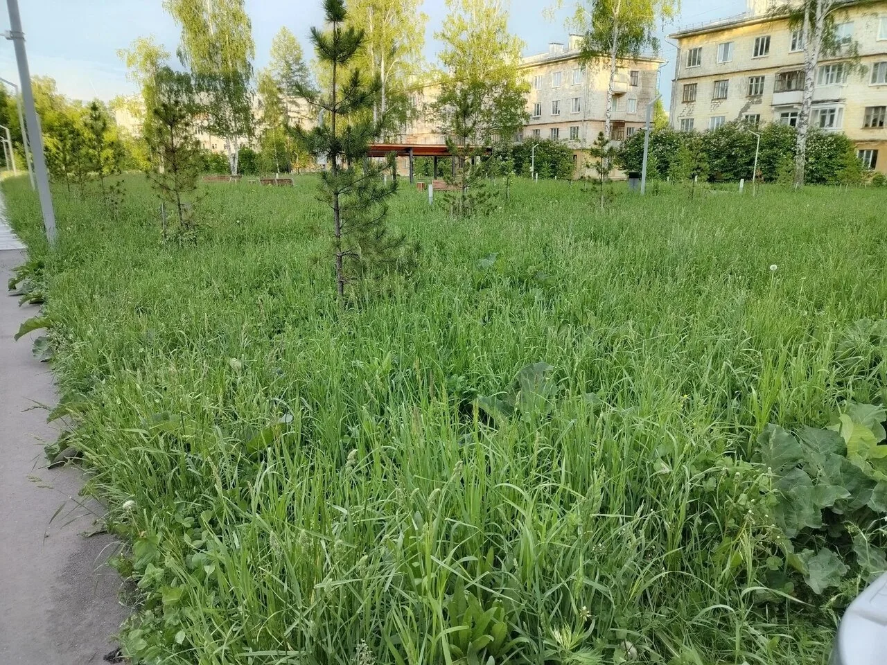 Лесной

Вопрос к Администрации города - зачем голосовать за парки и благоустройство, если по факту з