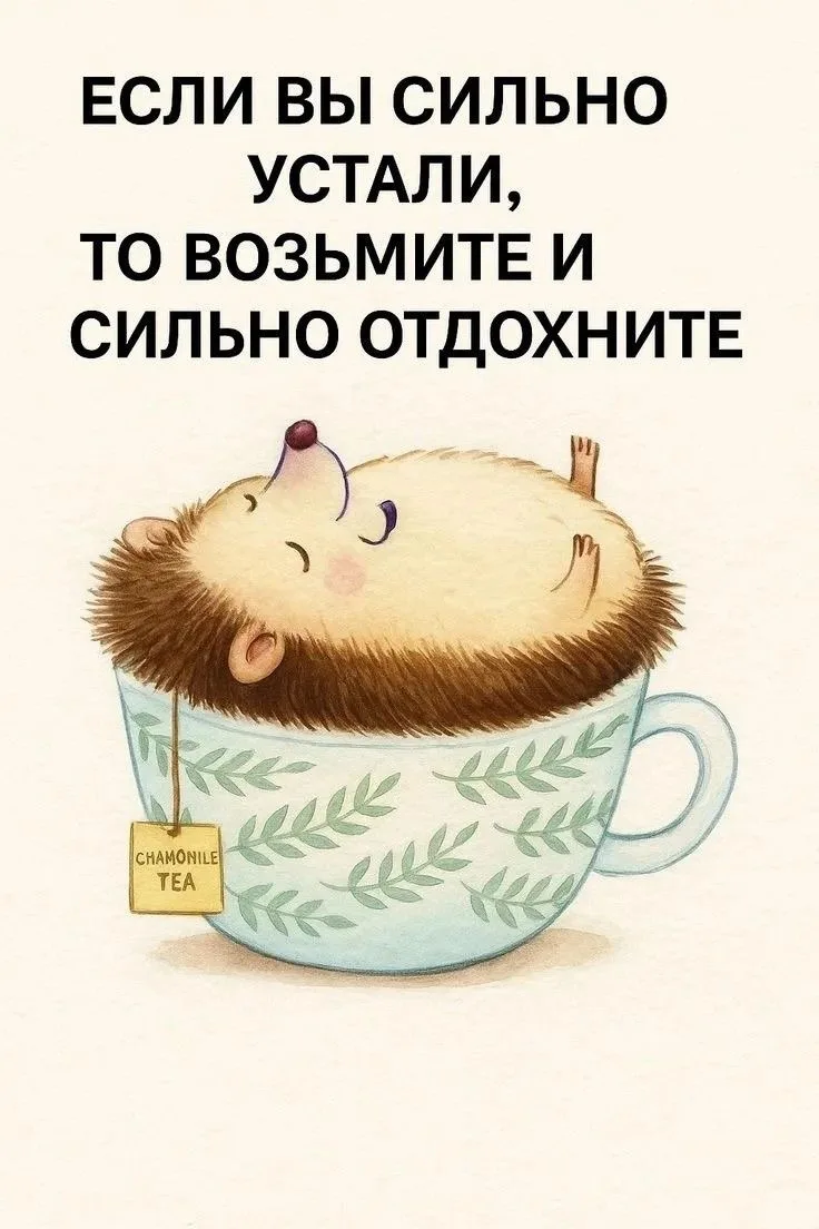 Все верно 🙌🏼