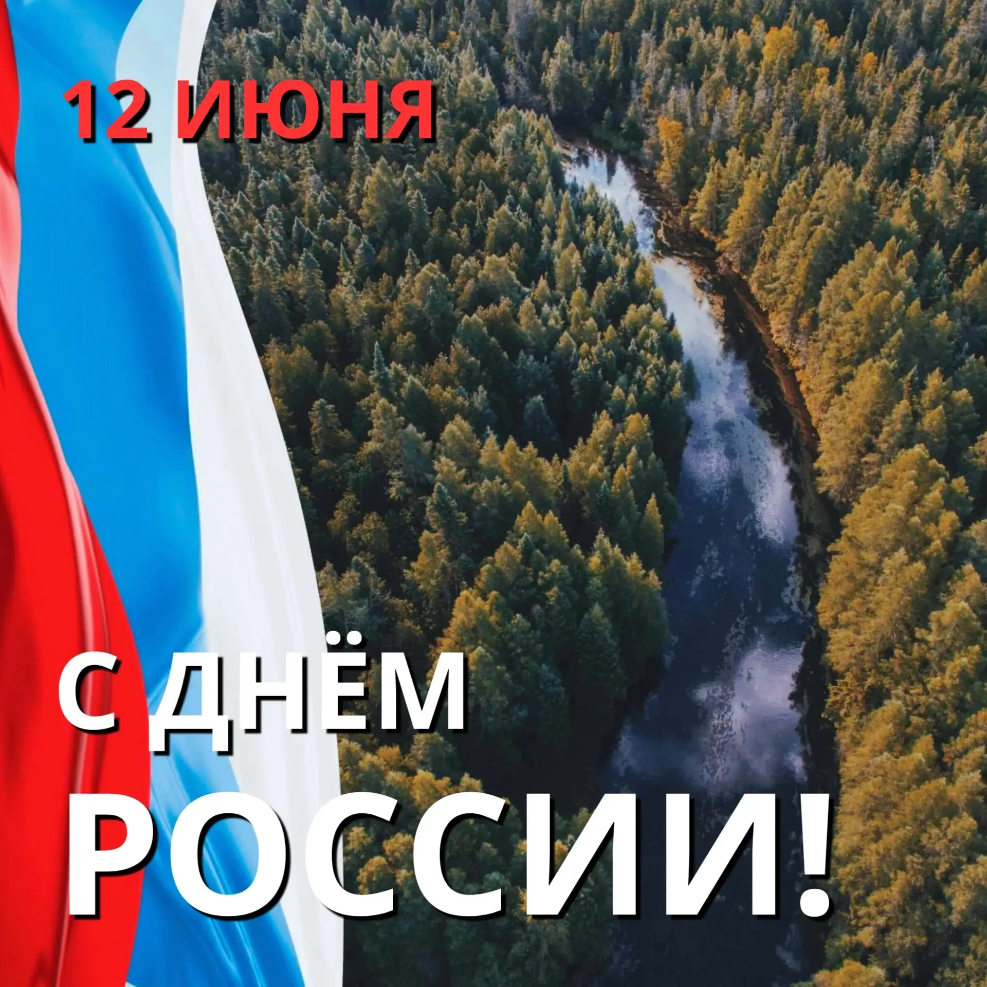 Дорогие коллеги и студенты Института лесных технологий! 🇷🇺

С Днём России! Пусть наша общая любовь
