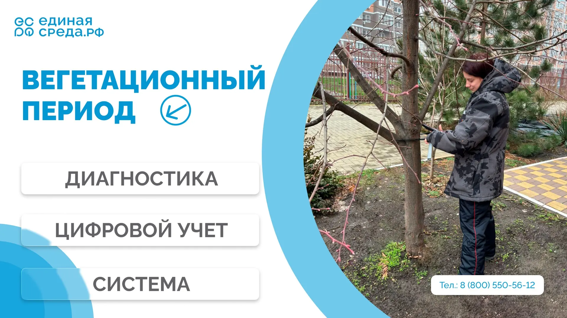 Почему начало вегетационного периода – один из самых сложных и одновременно важных этап...