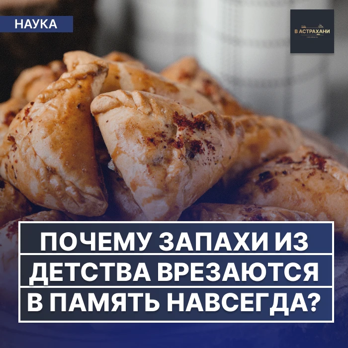 Иногда достаточно одного вдоха — и ты снова в детстве. Запах пыли после дождя, маминых ...