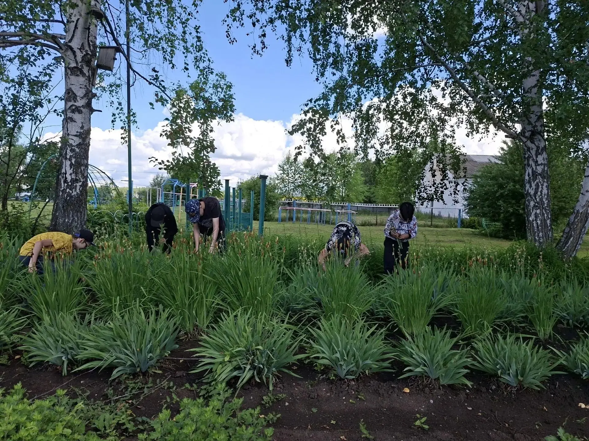 ☘️🌸Трудовая практика продолжается!