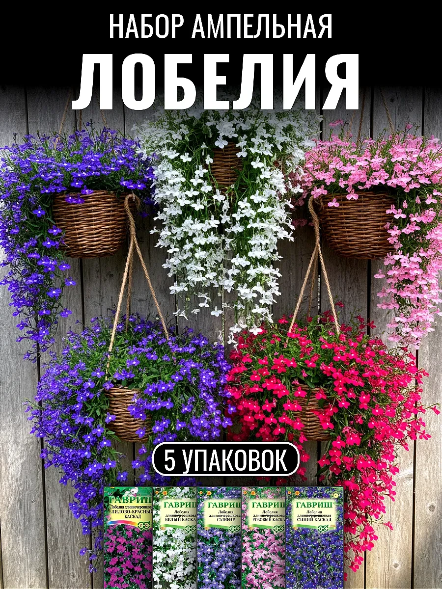 🌸 Для создания настоящего цветочного рая в саду или на балконе ампельная лобелия — идеальный выбор! 